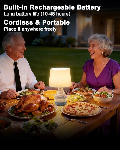 13" H Small Rechargeable Cordless Ceramic Table Lamp