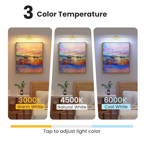 24" Picture Lights for Wall with 8000mAh Battery