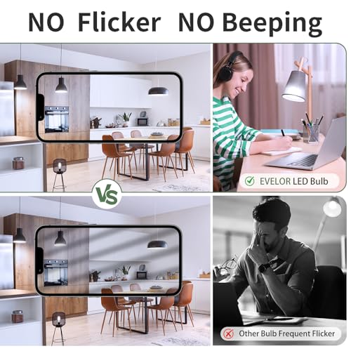 12 Pack A19 LED Light Bulbs (12 Count)