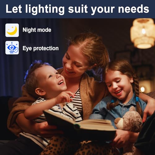 2 Pack Dimmer Light Switch (2 Count)