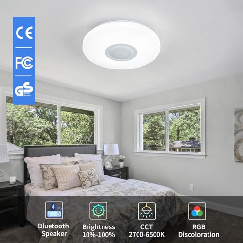 LED Ceiling Light Fixture