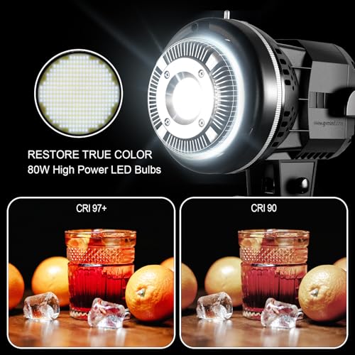 GVM 80W Video Light