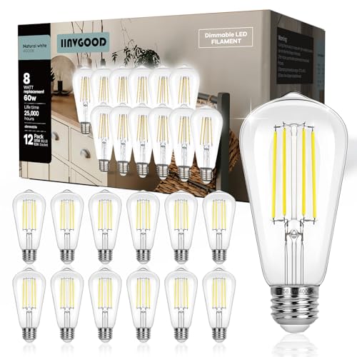 Dimmable Edison Light Bulbs 60W Equivalent (12 Count)