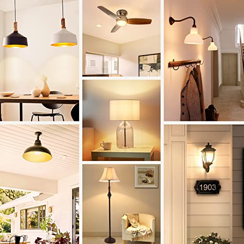 A19 LED Light Bulbs (4 Count)