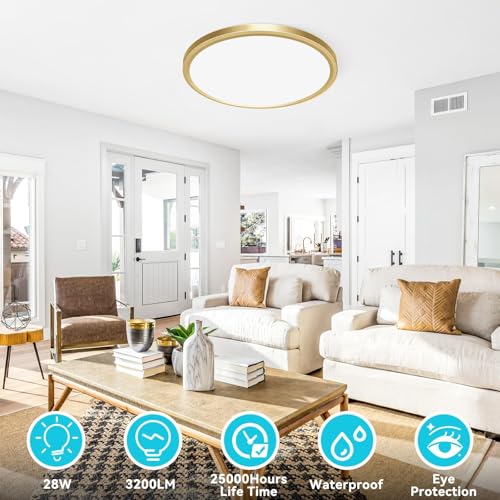 12 Inch LED Ceiling Light Golden