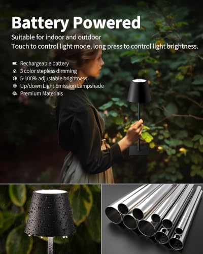 2 Pack Cordless Black Table Lamps (2 Count)