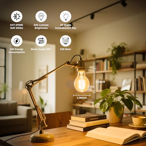 A19 Clear light Bulbs (24 Count)