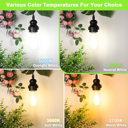 4 Pack Vintage Edison Bulbs 60W Equivalent (4 Count)