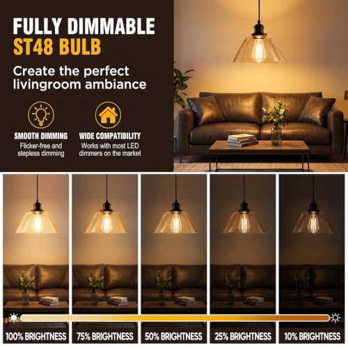 12 Pack Dimmable LED Edison Light Bulbs
