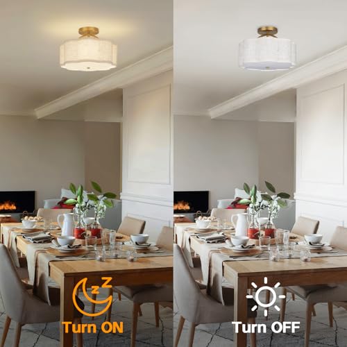 Semi Flush Mount Ceiling Light