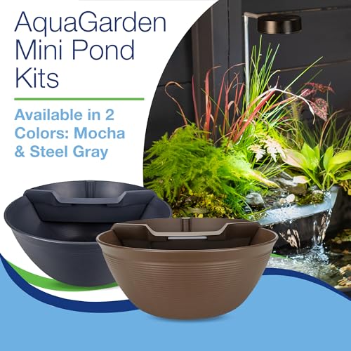Pond and Waterfall Kit AquaGarden Container Water Garden