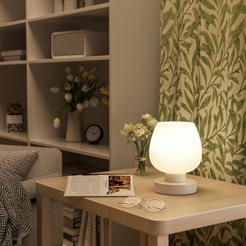 Cordless Touch Table Lamp for Nightstand