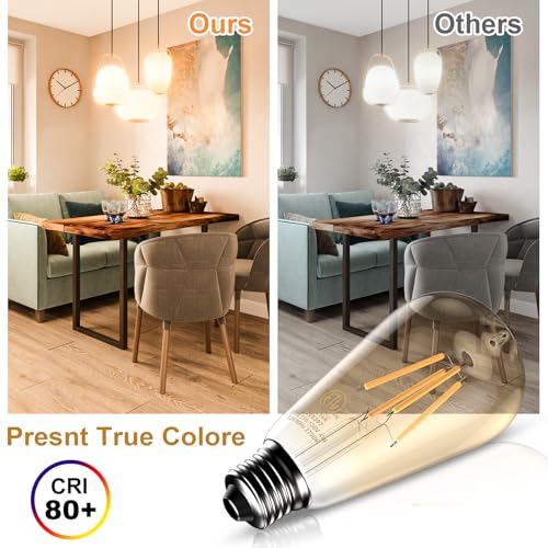 Edison Bulb ST58