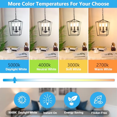 Dimmable E12 LED Candelabra Bulbs 60W Equivalent (24 Count)