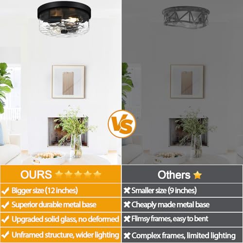 Flush Mount Ceiling Light Fixtures