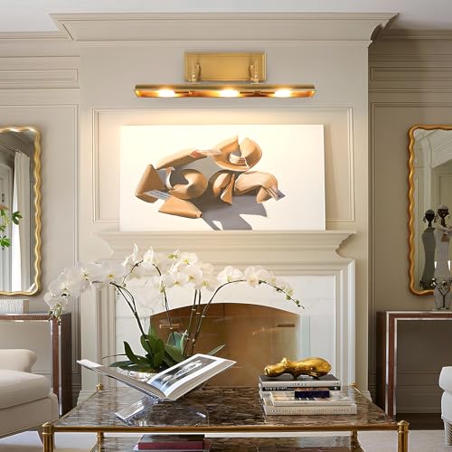 24 Inch Picture Light for Wall