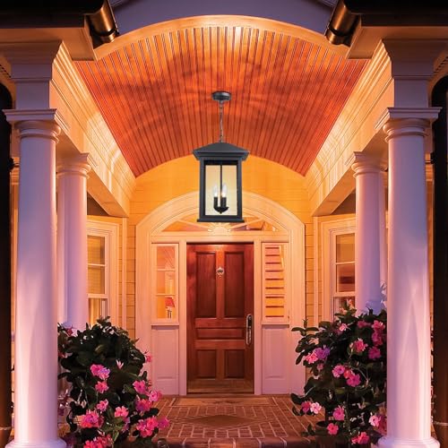 Large Outdoor Pendant Light