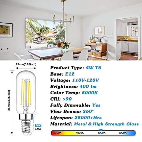 E12 LED Light Bulbs 40 Watt Equivalent (6 Count)
