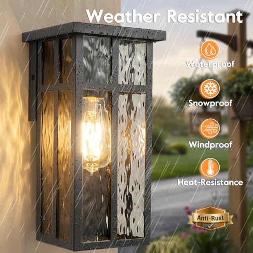 Outdoor Wall Light Fixtures (2 Count)