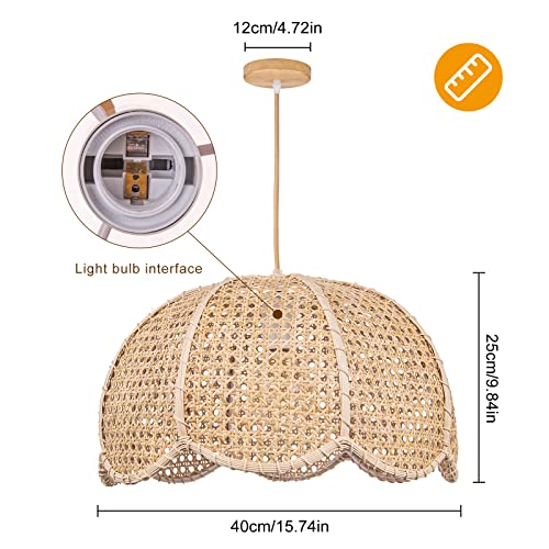 Indoor Hanging Ceiling Light Fixture