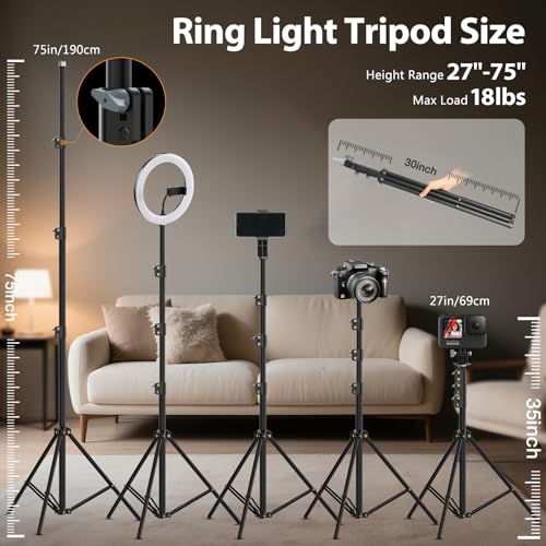 Large 22" Ring Light with Stand
