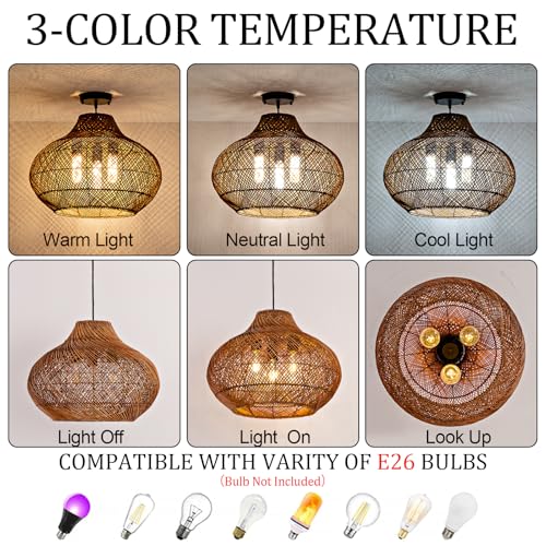 18.9" Rattan Pendant Light