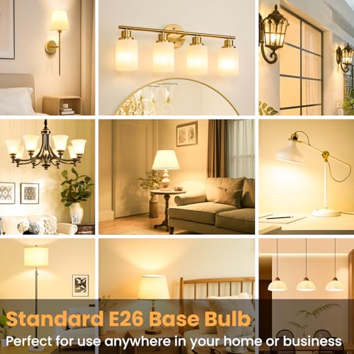 6 Pack A19 LED Light Bulbs (6 Count)