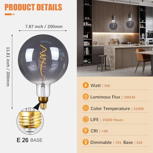 G200 Oversized LED Edison Light Bulb Dimmable 5W 200lm E26 2200K 1PC