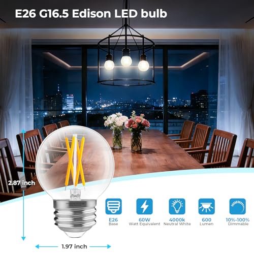 E26 Base G16.5 Globe LED Edison Bulb (12 Count)