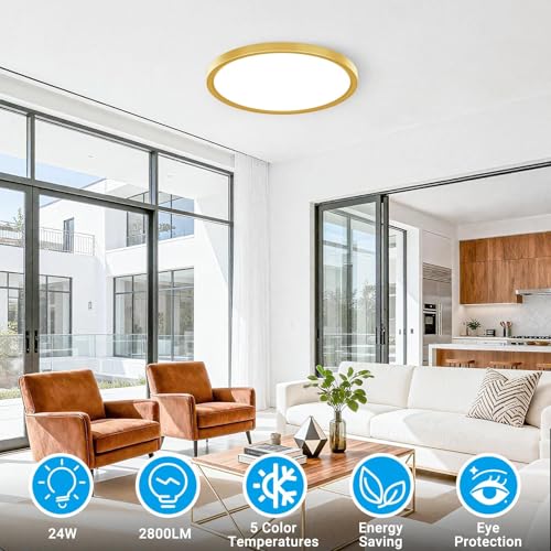2 Pack LED Flush Mount Ceiling Light