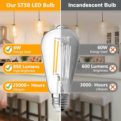 4 Pack Vintage Edison Bulbs 60W Equivalent (4 Count)