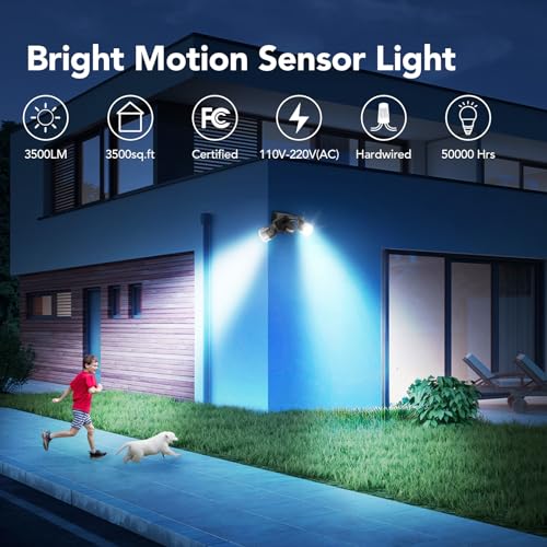 Motion Sensor Outdoor Lights