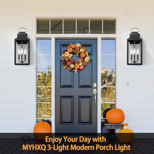 20" Extra Large Outdoor Wall Light