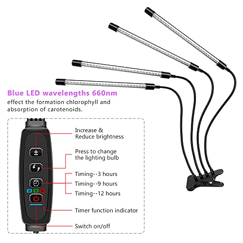 LED Black Light 4