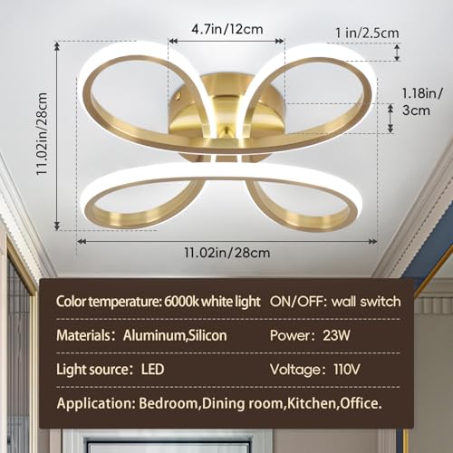 Modern LED Ceiling Light