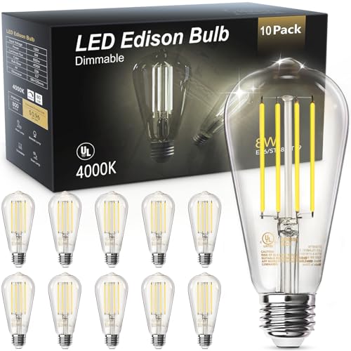 LED Edison Light Bulbs (10 Count)