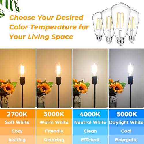 12 Pack Vintage LED Edsion Bulbs 100W Equivalent (12 Count)