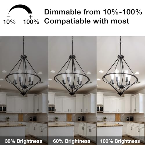 6 Pack Vintage LED Edison Bulbs (6 Count)