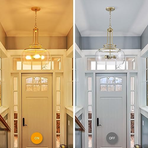 Chandelier Rustic Farmhouse Industrial Round Ceiling Pendant LED Light Fixture Clear Seeded Glass Shade for Dining Room Kitchen Island Foyer Entryway