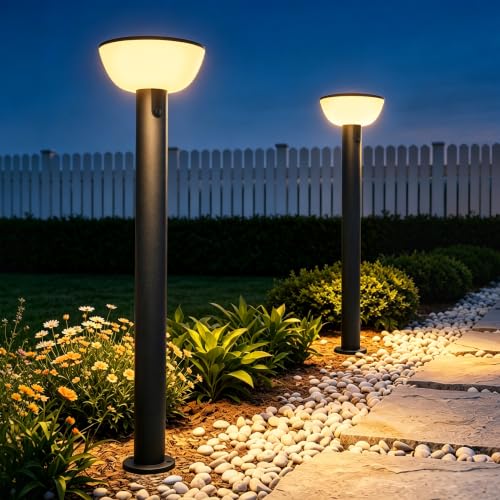 Solar Pathway Lights Outdoor with Motion Sensor (2 Count)