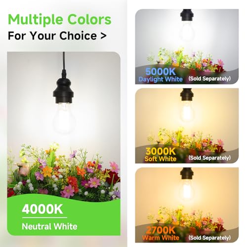A19 Vintage LED Edison Bulbs Dimmable 60W Equivalent High Brightness (4 Count)