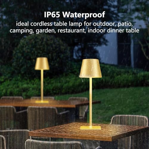 Gold Rechargeable Cordless Table Lamp (2 Count)