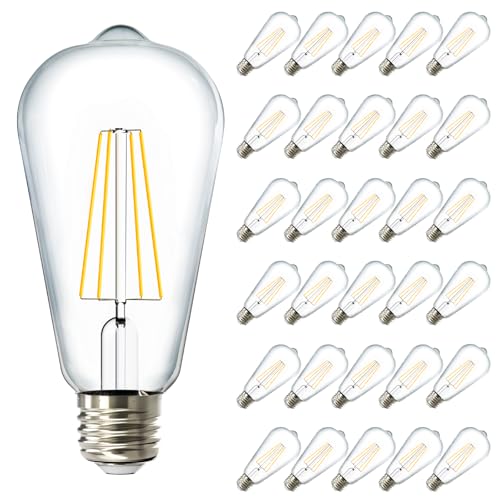 Sunco 30 Pack Edison Bulbs LED ST64 (30 Count)