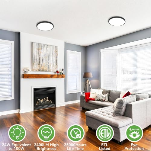 Black Ceiling Light 9 Inch