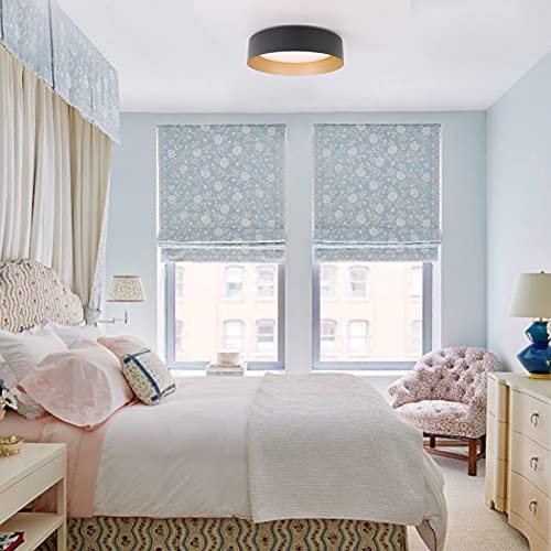 Flush Mount Ceiling Light