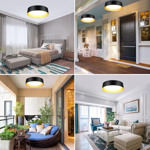Flush Mount Ceiling Light