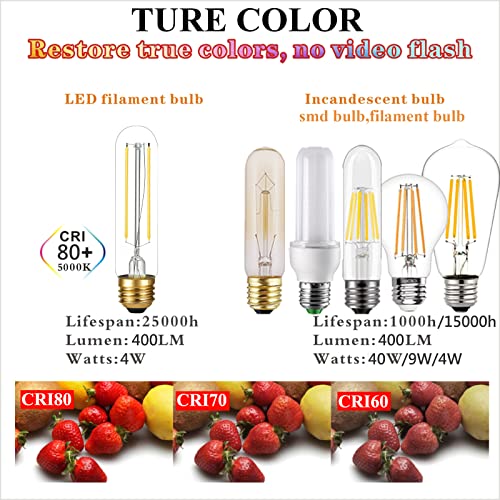 T10 E26 Bulb Edison Light Bulbs (6 Count)