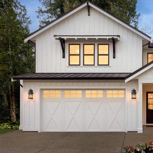 2 Pack Outdoor Wall Lights (2 Count)