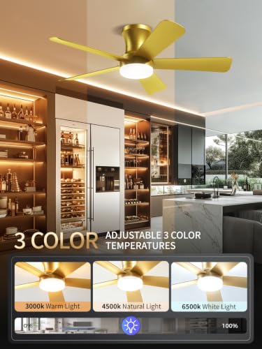 42 Inch Gold Low Profile Ceiling Fan with Light and Remote (Gold / 42 Inch)