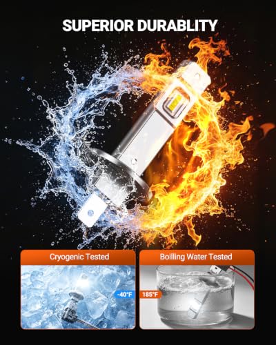Fog Bulbs Pack of 4